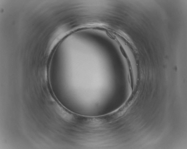 X0000077291420200610201122