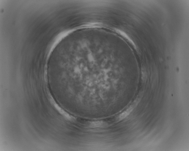 X0000077291421200610201122