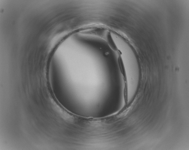 X0000077291422200610201122