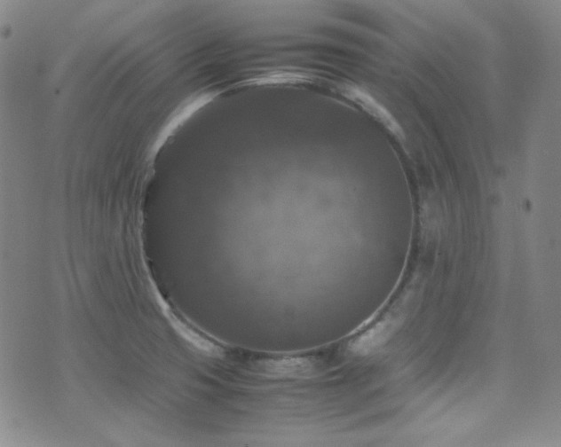 X0000077291425200610201122