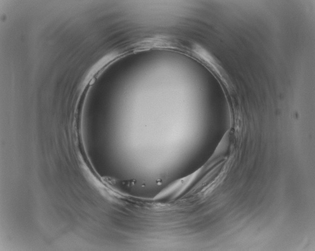 X0000077291434200610201122