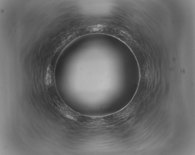X0000077291442200610201122