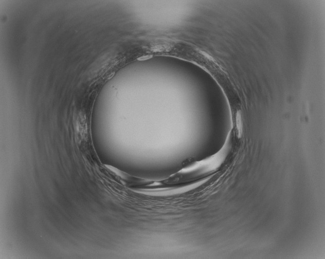 X0000077291443200610201122