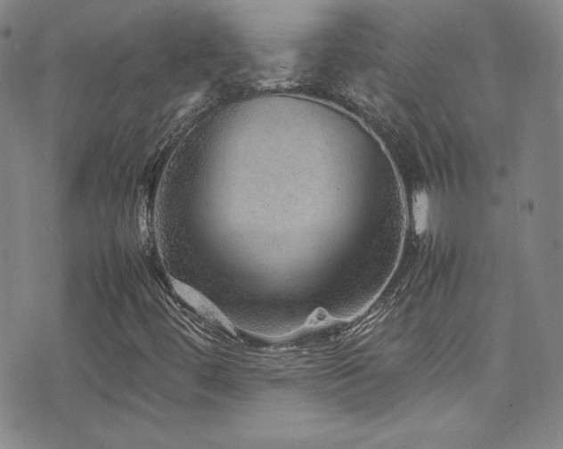 X0000077291444200610201122