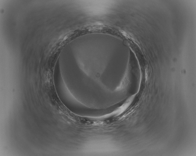 X0000077291445200610201122
