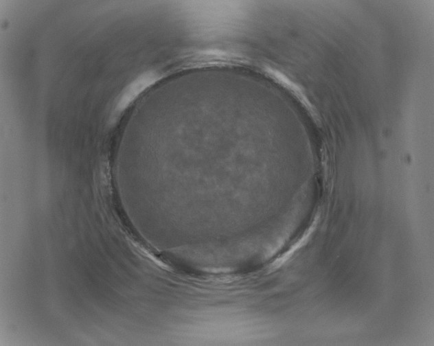X0000077291453200610201122