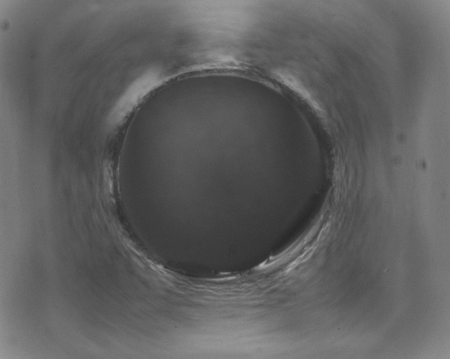 X0000077291455200610201122