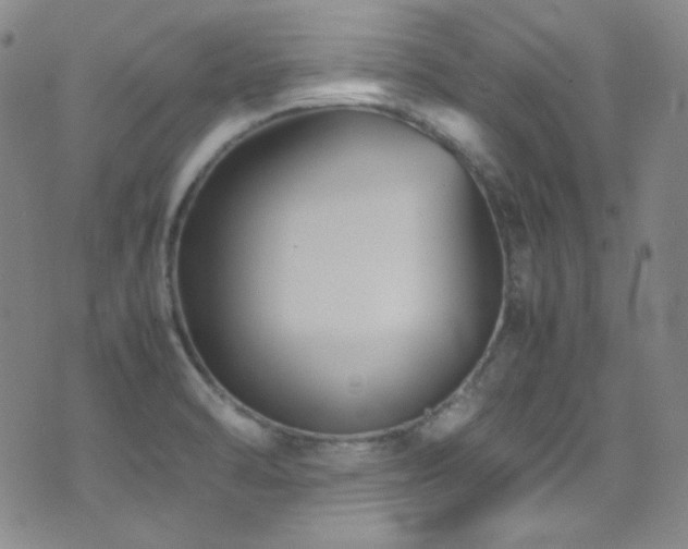 X0000077291470200610201121