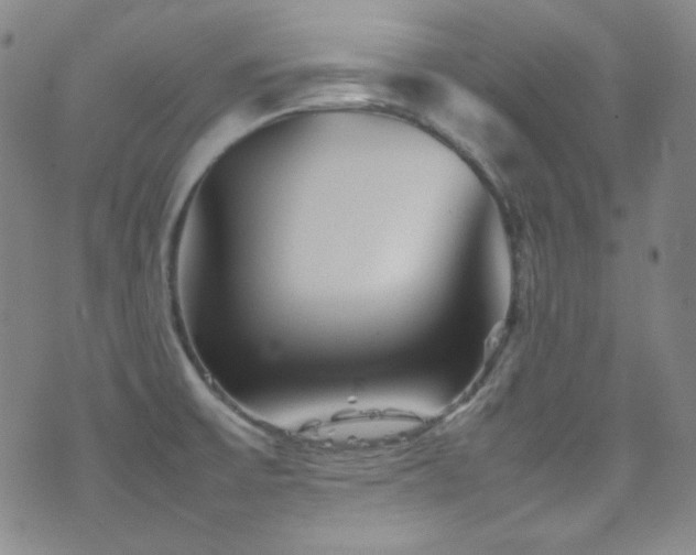 X0000077291475200610201121