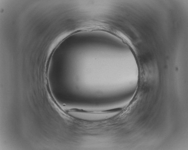 X0000077291485200610201121
