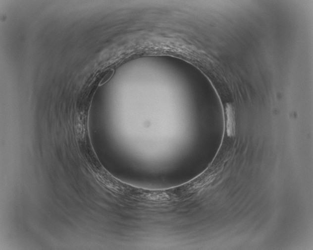 X0000077291491200610201120