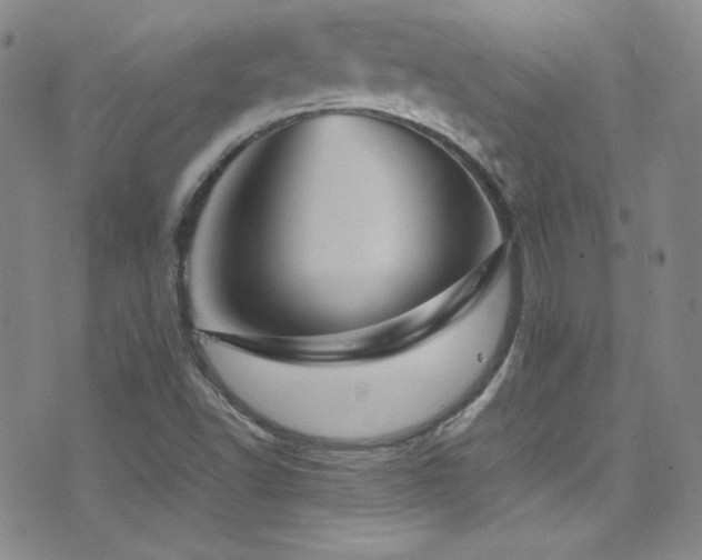 X0000077291502200610201120