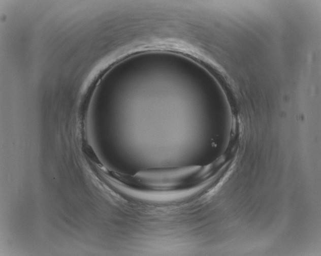 X0000077291506200610201121