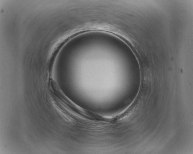 X0000077291507200610201121