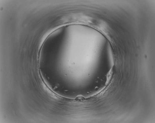 X0000077291532200610201121