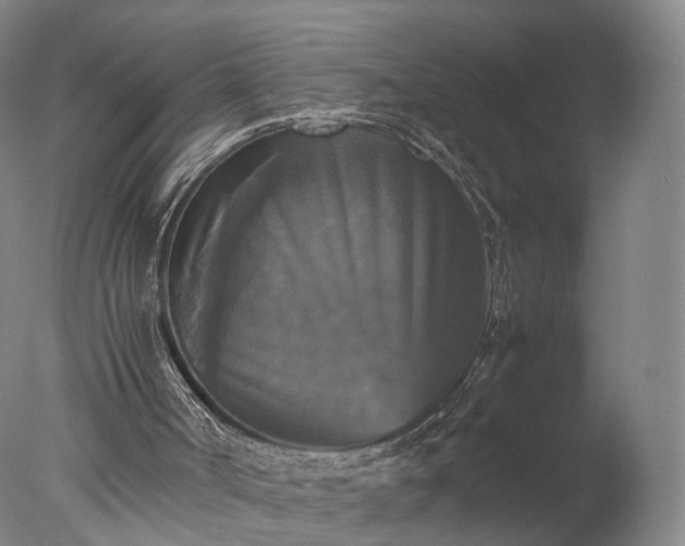 X0000077290002200610271536