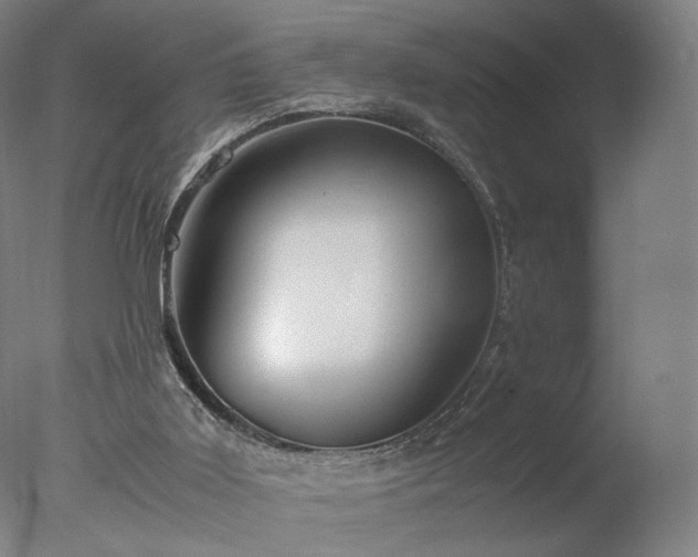 X0000077290011200610271536
