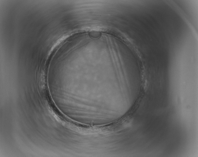 X0000077290012200610271536