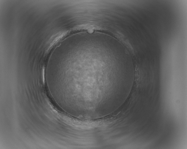 X0000077290014200610271536