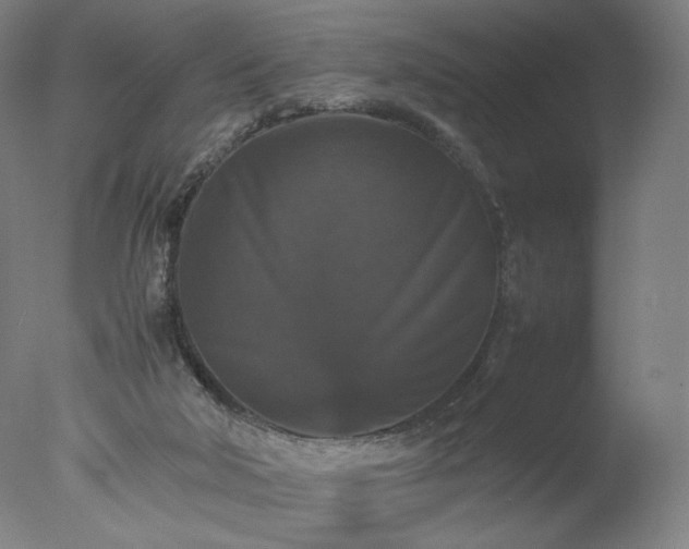 X0000077290018200610271536