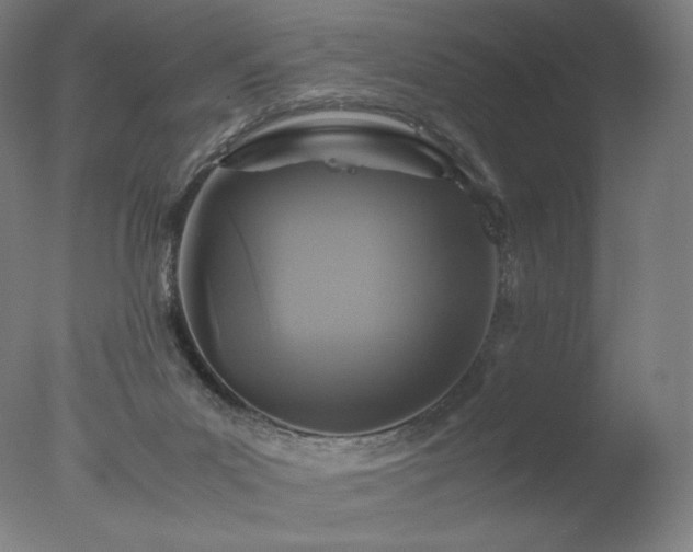 X0000077290023200610271536