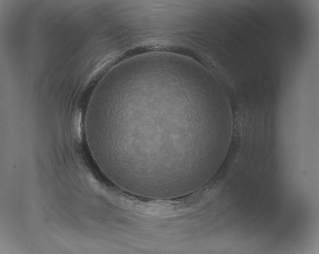 X0000077290024200610271536