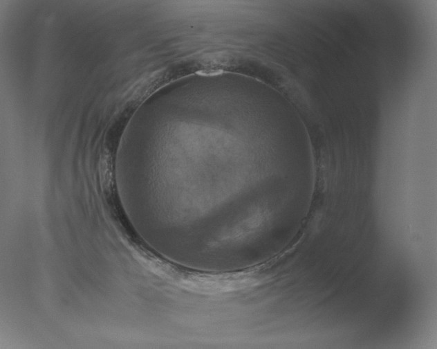 X0000077290029200610271536