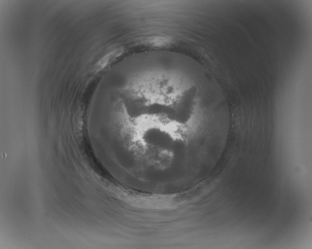 X0000077290032200610271536