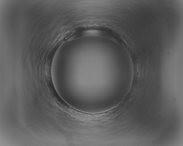 X0000077290035200610271536
