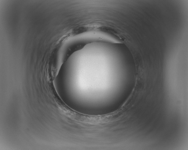 X0000077290037200610271536