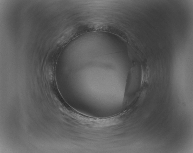 X0000077290039200610271536