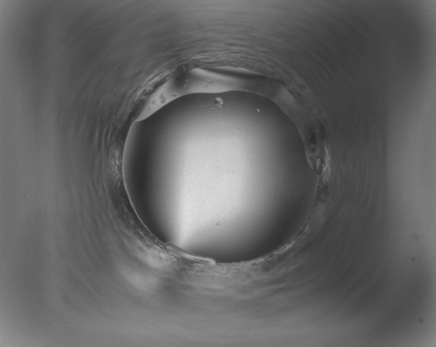 X0000077290045200610271536