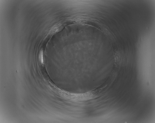 X0000077290046200610271536
