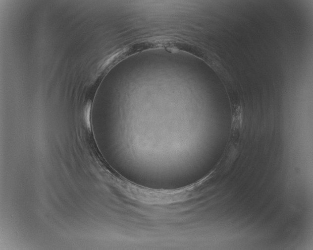 X0000077290047200610271536