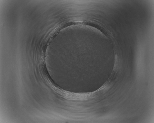 X0000077290048200610271535