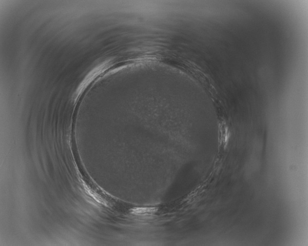 X0000077290051200610271535