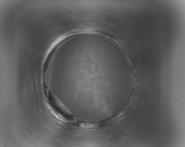 X0000077290056200610271535