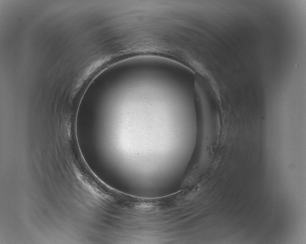 X0000077290060200610271535
