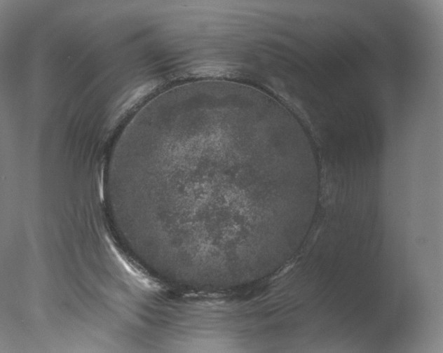 X0000077290062200610271535