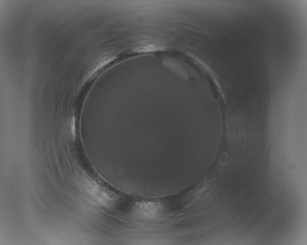 X0000077290067200610271535