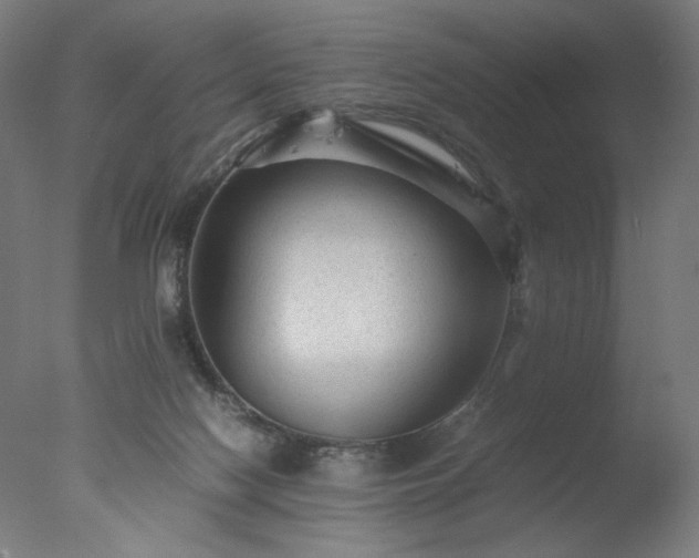 X0000077290074200610271535
