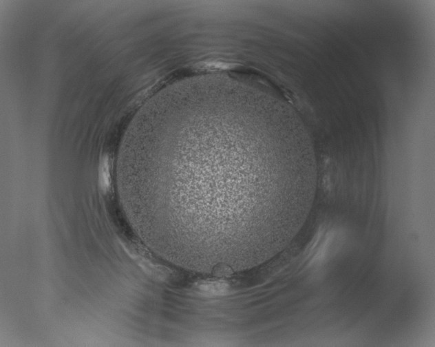 X0000077290075200610271535