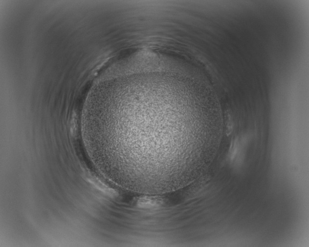 X0000077290077200610271535