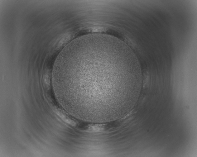 X0000077290078200610271535