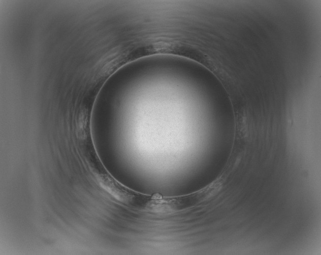 X0000077290082200610271535