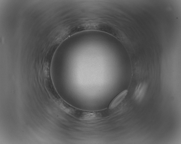 X0000077290083200610271535