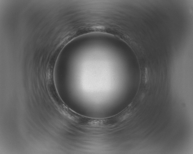 X0000077290084200610271535