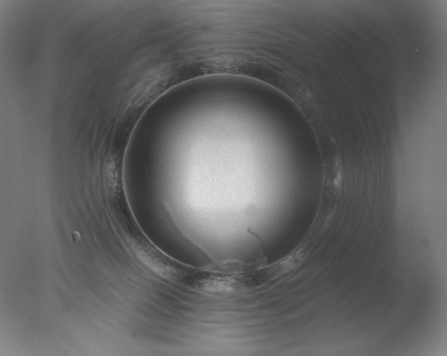 X0000077290086200610271535