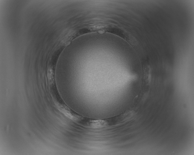 X0000077290087200610271535