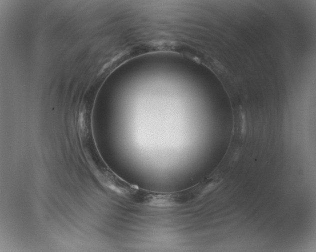 X0000077290088200610271535